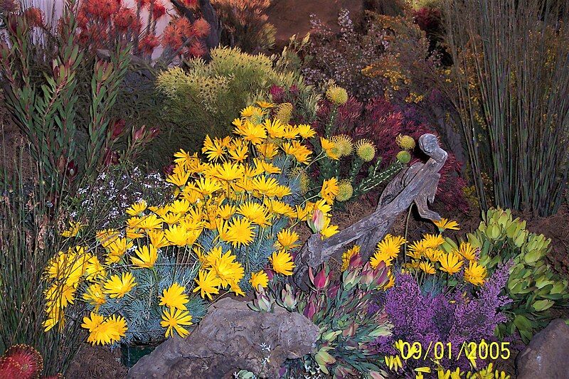 File:Flowershow01 (2)ra.jpg