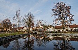 Houses around a pond