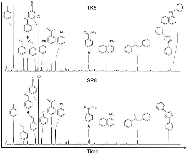 File:Hyrax midden pyrolysis.jpg