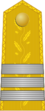 File:KingdomRomania-Army-OF-8.svg