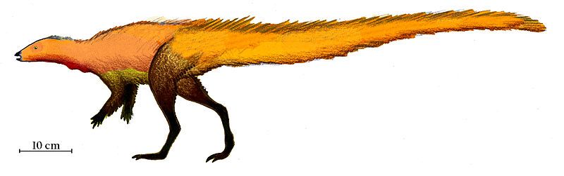 File:Leaellynasaura.jpg