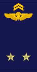 File:Mali-AirForce-OF-6.svg