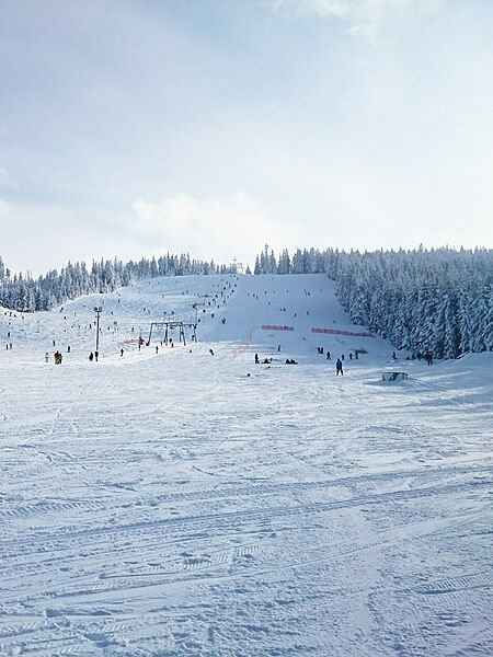 File:Mehliskopf Skipiste.JPG