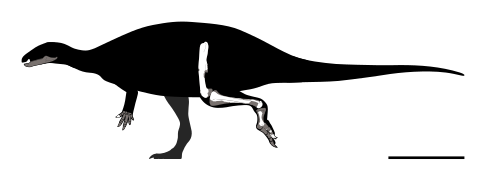 Oblitosaurus