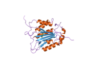 2fqq: Crystal structure of human caspase-1 (Cys285->Ala, Cys362->Ala, Cys364->Ala, Cys397->Ala) in complex with 1-methyl-3-trifluoromethyl-1H-thieno[2,3-c]pyrazole-5-carboxylic acid (2-mercapto-ethyl)-amide