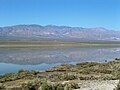 'Panamint Lake' in 2005, view near Ballarat