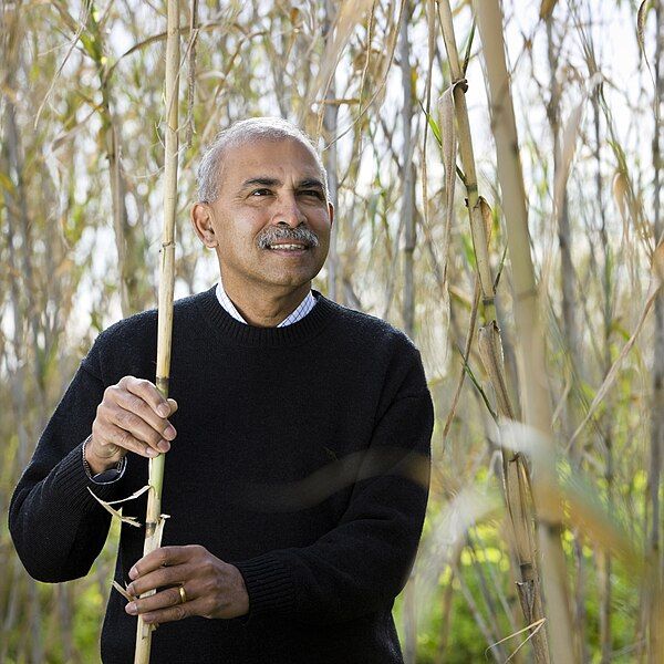 File:Prof Ravi Naidu.jpg