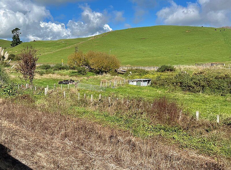 File:Puketutu station site.jpg