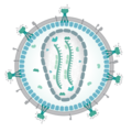 Caption Figure 1: This is the image of a retrovirus.