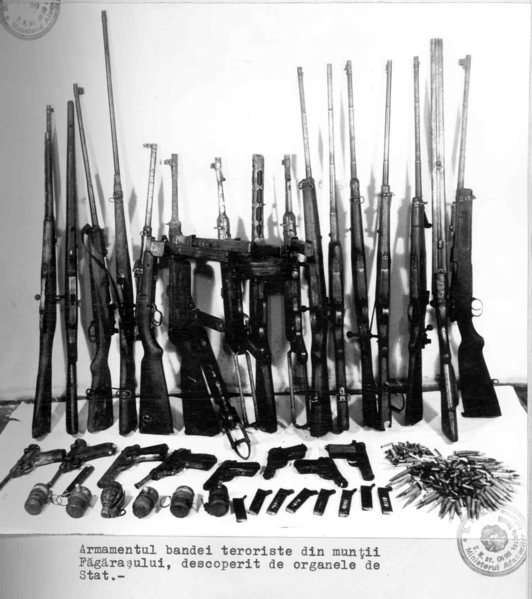 File:RezistantaRomanaAntiCommunista-ArmeSiMunitiiApartinandGrupuluiCarpatinFagarasan.png