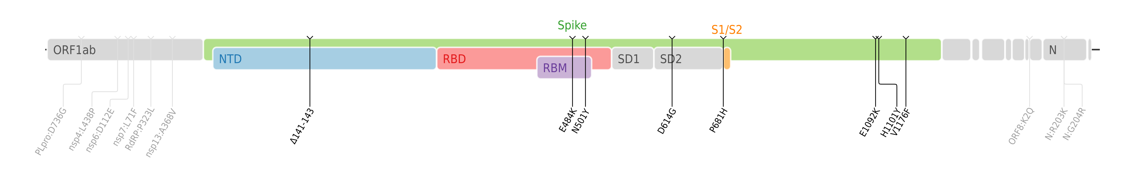 Amino acid mutations of SARS-CoV-2 Theta variant plotted on a genome map of SARS-CoV-2 with a focus on the spike.[7]