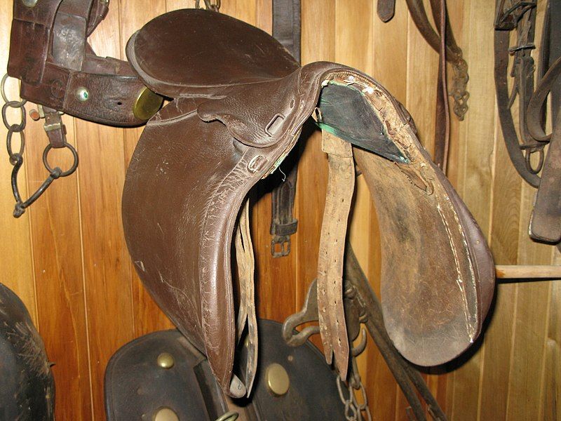 File:Saddle (AM 1967.148-1).jpg