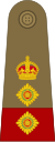 Colonel