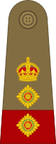 File:South Africa-Army-OF-5-1928.svg