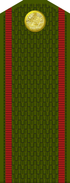 File:Tajikistan-Army-OR-1.png