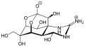 Tetrodotoxin