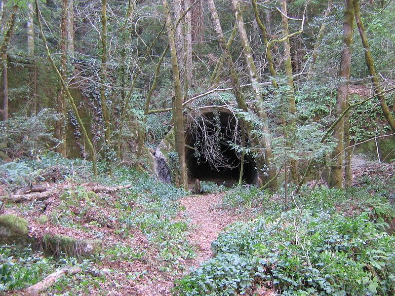 File:Tunnels 002.jpg