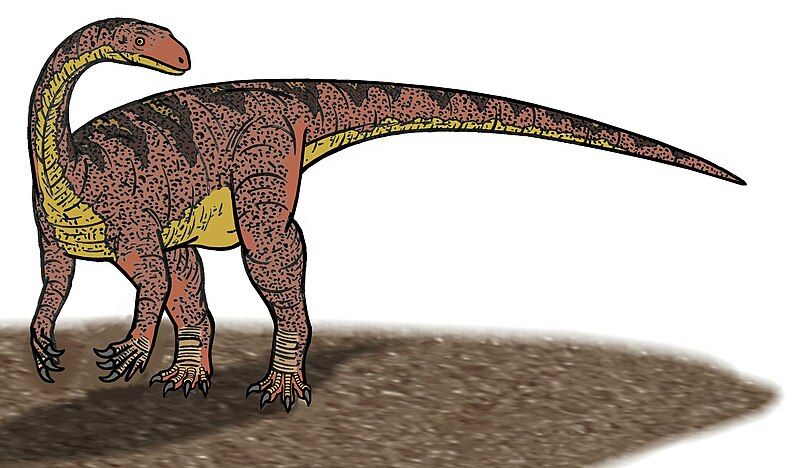 File:Unaysaurus 01.JPG