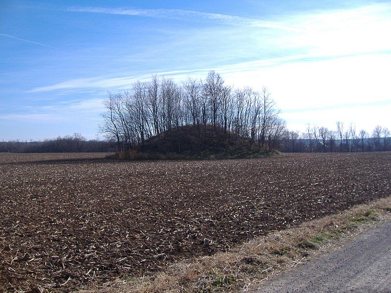 File:Austin Bown Mound.JPG