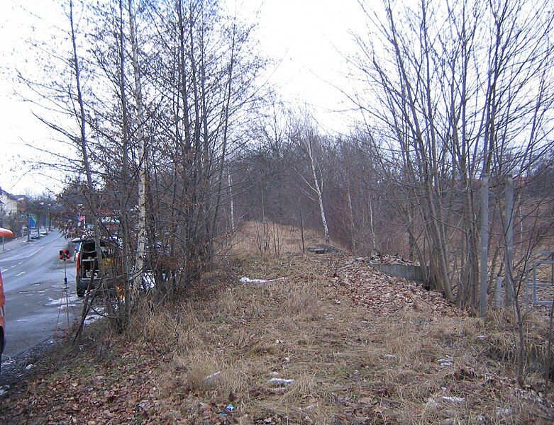 File:Bayreuth-aufgelasseneBahntrasse-anNrnbgerStrasse.jpg