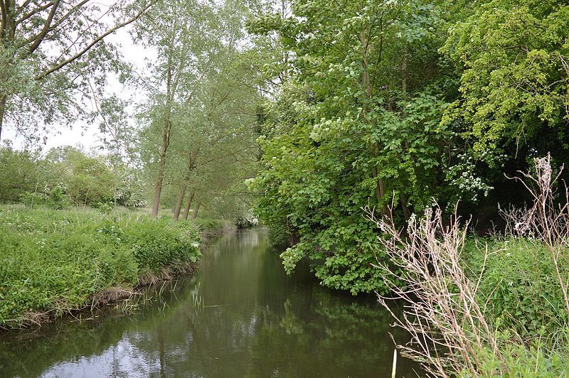 File:Bocking Blackwater 10.jpg