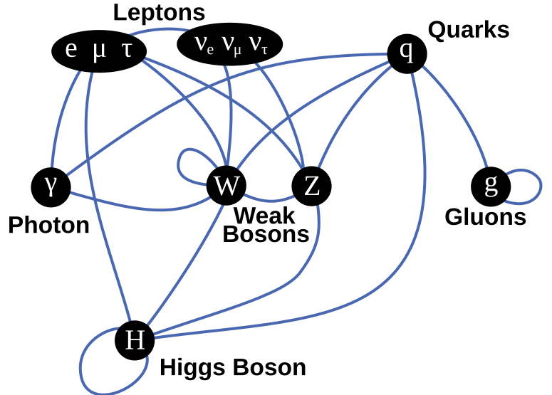 File:Elementary particle interactions.svg