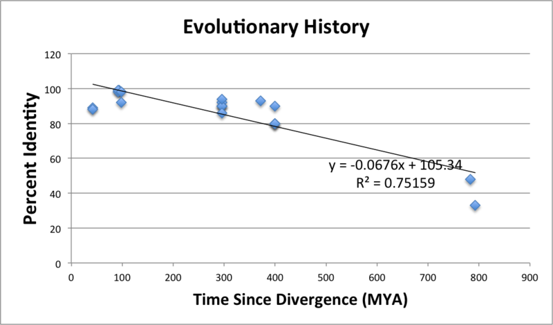 File:FAM78B-Evolutionary-History-Graph1.png