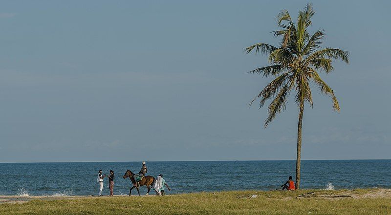 File:Horse-ride-at-elegushi-beach.jpg