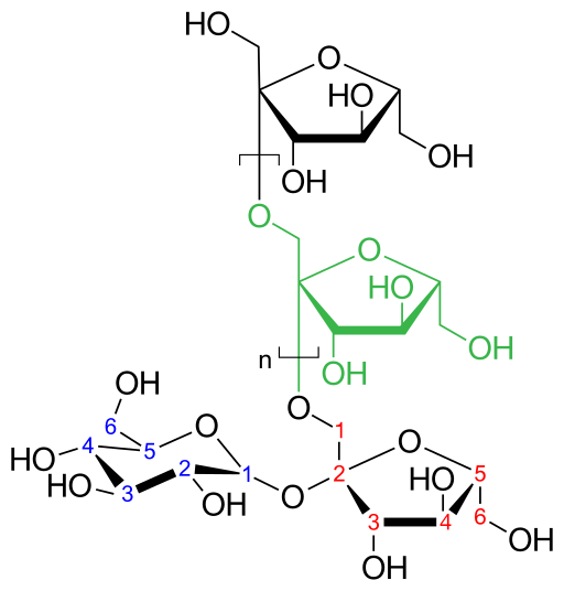 File:Inulin strukturformel.svg