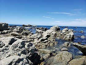 Uplifted shoreline on the Kaikōura Peninsula in 2020