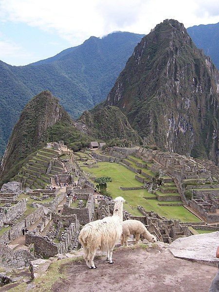 File:Machu Picchu llamas.jpg