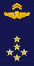 File:Mali-AirForce-OF-9.svg