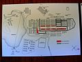 Plan of the concentration camp Mauthausen