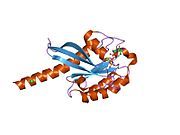 2f9m: 3D structure of active human Rab11b GTPase