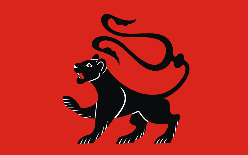 File:POL Radłów flag.svg