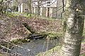 Confluence with River Beal