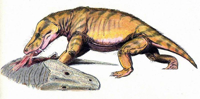 File:Scylacosuchus DB.jpg