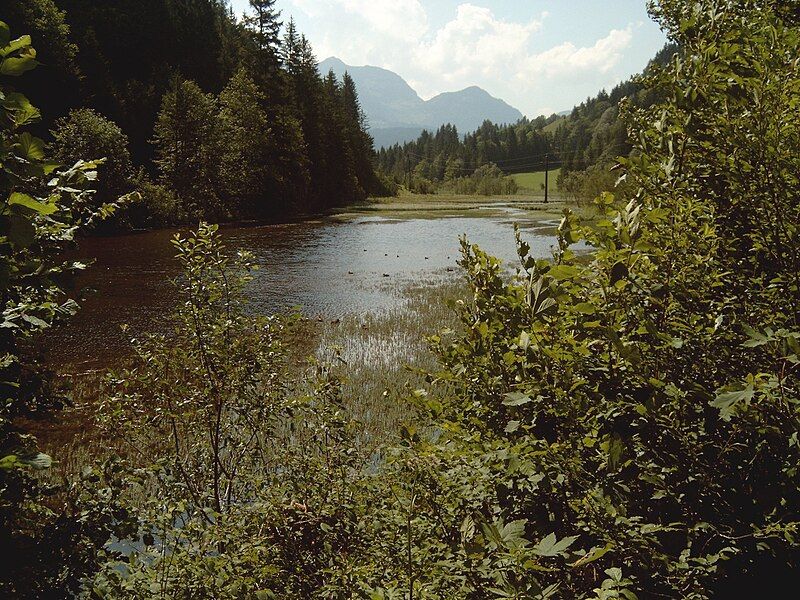 File:Wiesensee nordseite.jpg