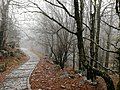 Trail that leads to Vikos Gorge.