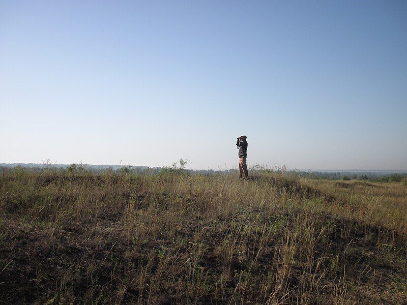 File:2010-07-30-kalaus-steppe 088.jpg