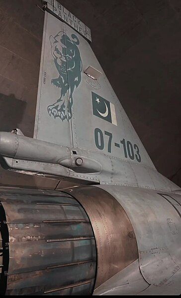 File:Black Panther JF-17.jpg