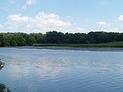 Picture of Blackbird Creek at Blackbird Creek Reserve