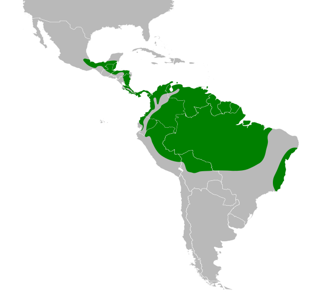 File:Crypturellus soui map.svg