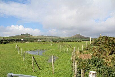 Gort na Gearradh ("field of the cuttings") & Gort na gCeann ("field of the heads"), Dún an Óir, site of the 1580 massacre.