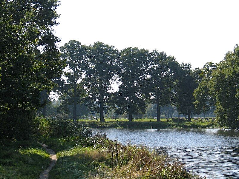 File:Dommel-bij-Gemonde.JPG