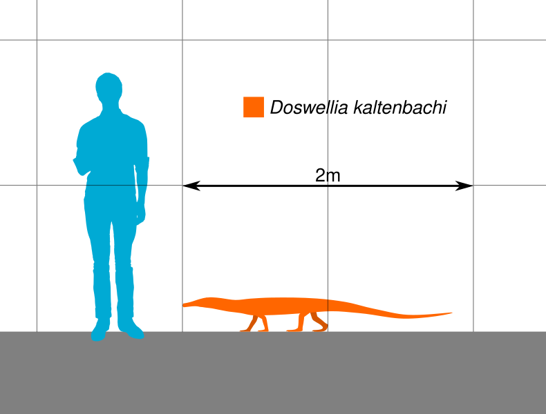 File:Doswellia Scale.svg