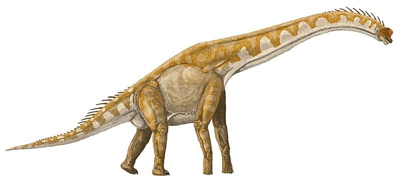 File:Giraffatitan DB.jpg