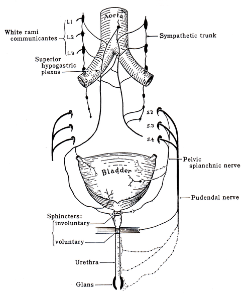 File:Grant 1962 214.png