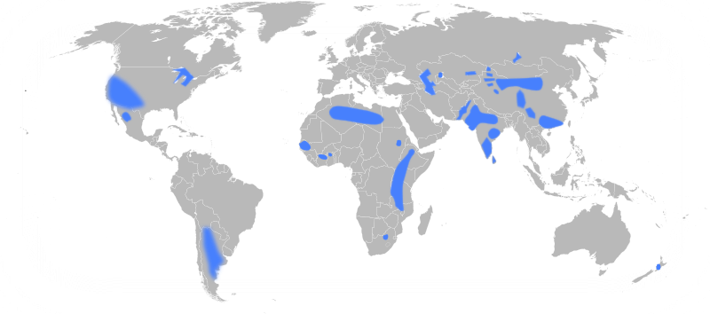 File:Groundwater-fluoride-world.svg