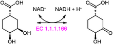 Hydroxycyclohexanecarboxylate_dehydrogenase